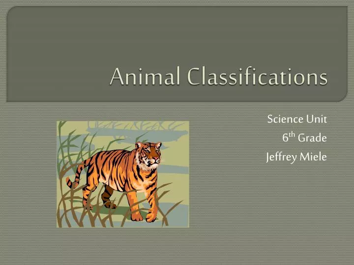 animal classifications