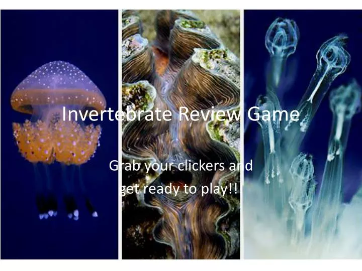 invertebrate review game