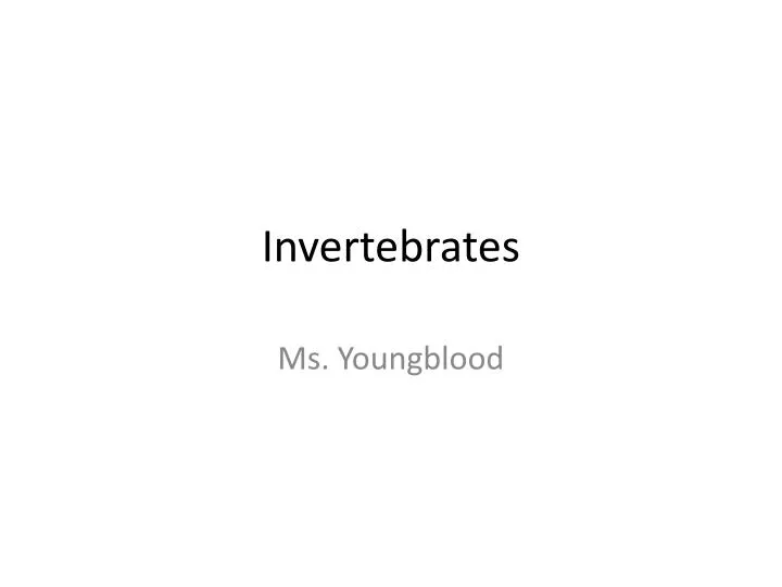 invertebrates