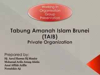 Tabung Amanah Islam Brunei (TAIB) Private Organization