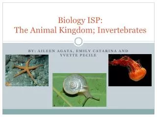 Biology ISP: The Animal Kingdom; Invertebrates