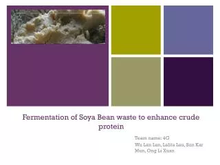 Fermentation of Soya Bean waste to enhance crude protein