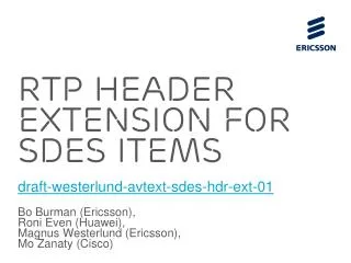 RTP Header Extension For SDES ITEMs