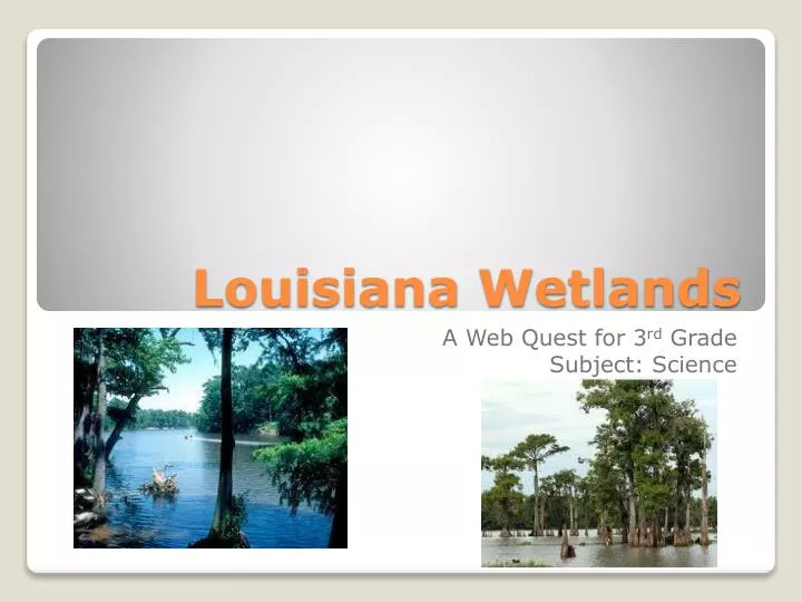 louisiana wetlands