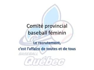 comit provincial baseball f minin