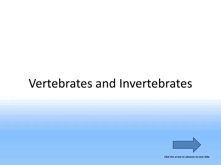 vertebrates and invertebrates