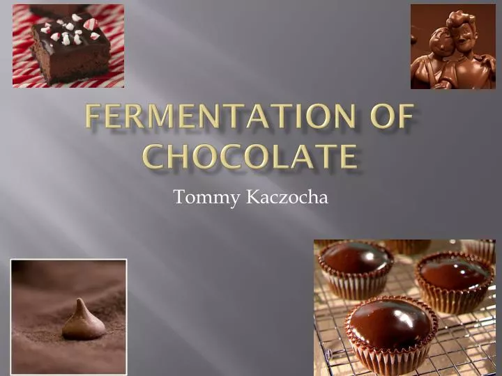 fermentation of chocolate