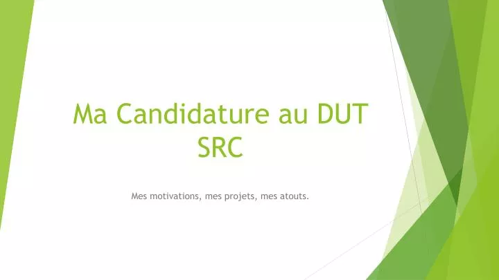 ma candidature au dut src