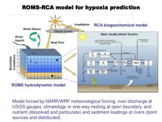 ROMS hydrodynamic model