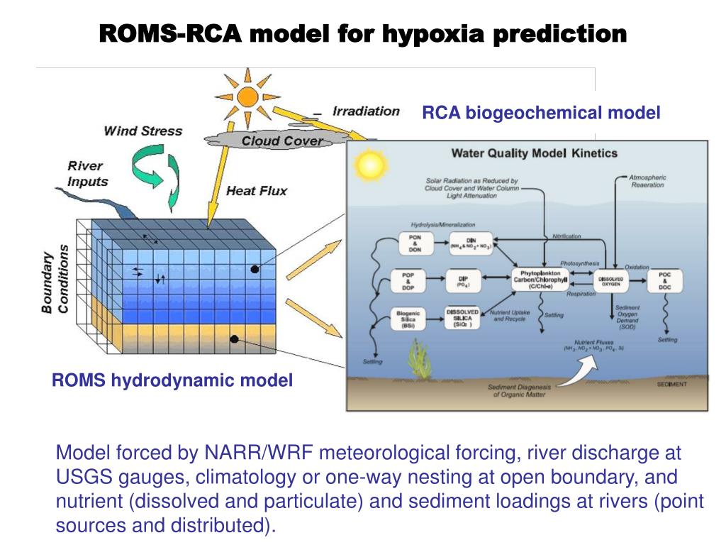 Roms Ice Modelling PPT - ROMS hydrodynamic model PowerPoint Presentation, free download ...