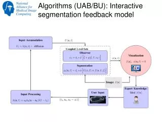 Algorithms (UAB/BU): Interactive segmentation feedback model