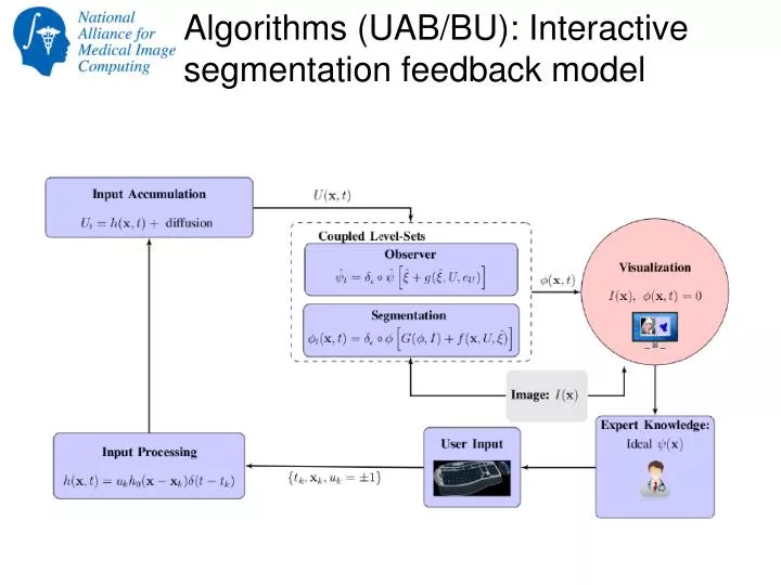 algorithms uab bu interactive segmentation feedback model