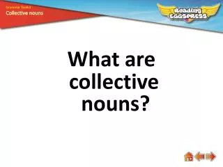 What are collective nouns?