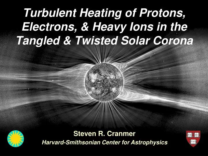 turbulent heating of protons electrons heavy ions in the tangled twisted solar corona