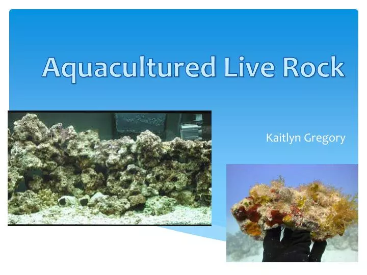 aquacultured live rock