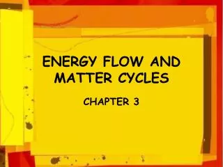 ENERGY FLOW AND MATTER CYCLES