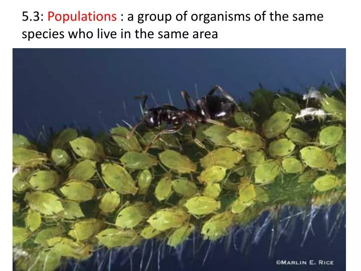 5 3 populations a group of organisms of the same species who live in the same area