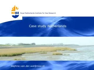 daphne.van.der.wal@nioz.nl