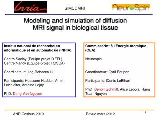 Modeling and simulation of diffusion MRI signal in biological tissue