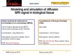 Modeling and simulation of diffusion MRI signal in biological tissue - slide 1