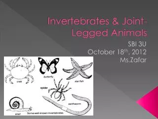 Invertebrates &amp; Joint-Legged Animals