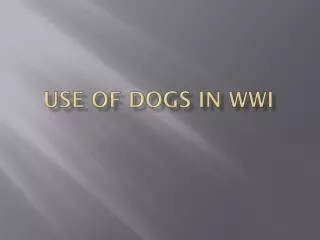 Use of Dogs in WWI