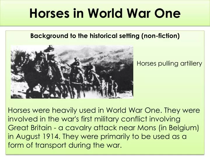 horses in world war one