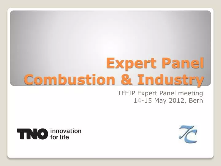 expert panel combustion industry