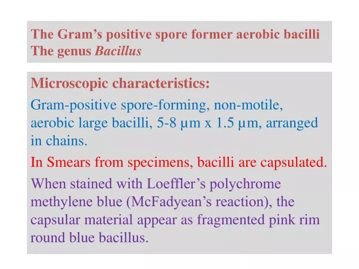 the gram s positive spore former aerobic bacilli the genus bacillus