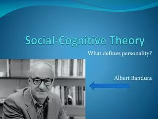 social cognitive theory