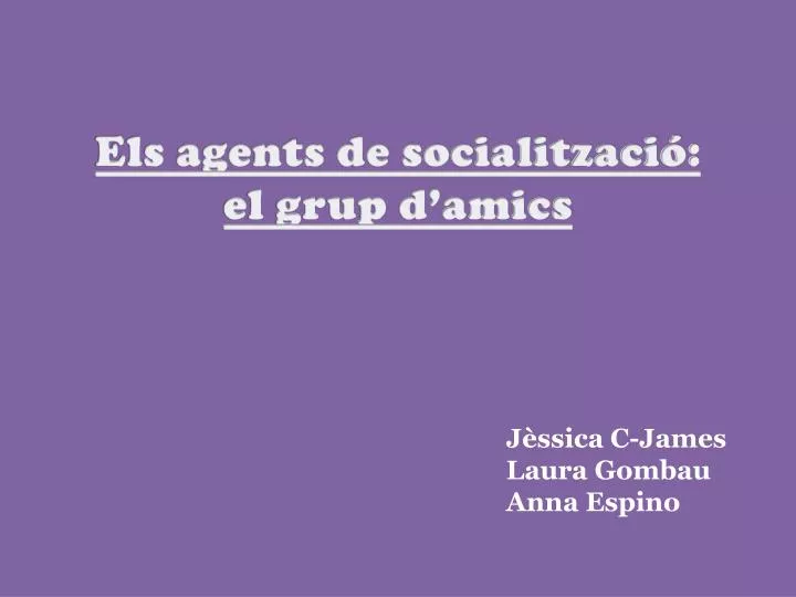 els agents de socialitzaci el grup d amics