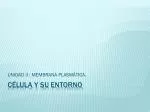CÉLULA Y SU ENTORNO