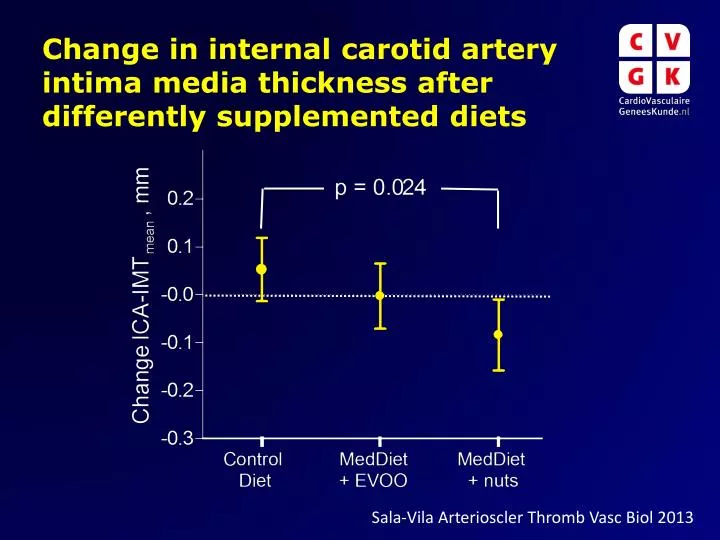 change in internal carotid artery intima media thickness after differently supplemented diets