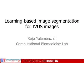Learning-based image segmentation for IVUS images