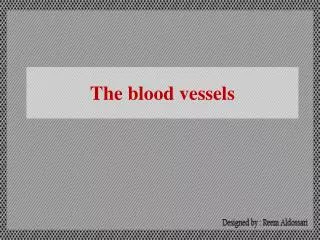 The blood vessels