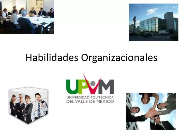 habilidades organizacionales