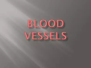 Blood Vessels