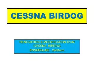 cessna birdog