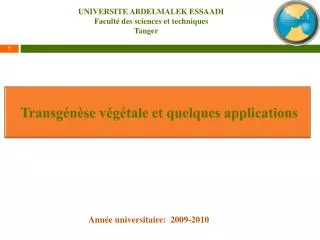 transg n se v g tale et quelques applications