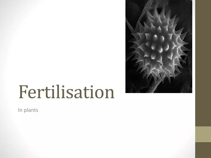 fertilisation