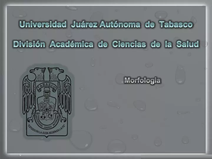 universidad ju rez aut noma de tabasco divisi n acad mica de ciencias de la salud