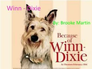 Winn - Dixie