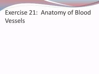 Exercise 21: Anatomy of Blood Vessels
