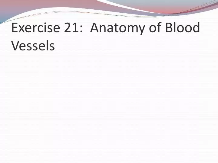 exercise 21 anatomy of blood vessels