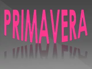 primavera