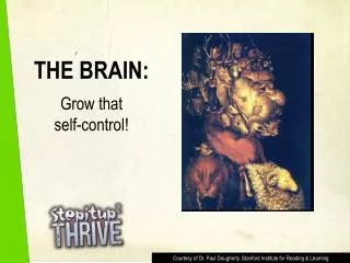 THE BRAIN: Grow that self-control!