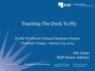 Teaching The Duck To Fly