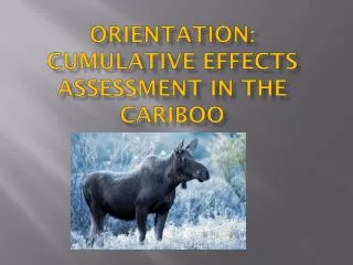Orientation: Cumulative Effects Assessment in the Cariboo