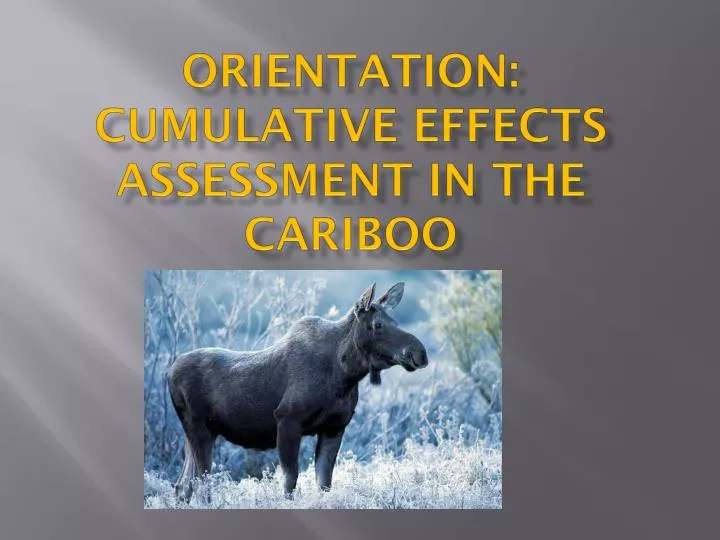 orientation cumulative effects assessment in the cariboo