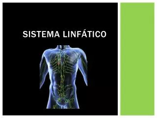 sistema linf tico
